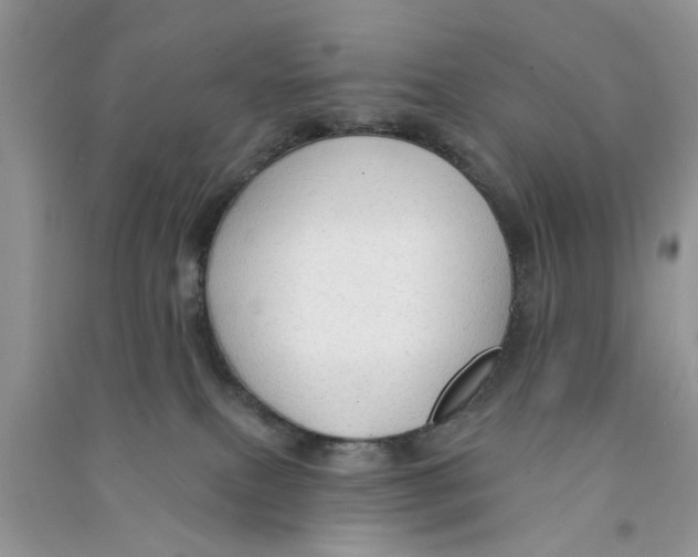 X0000090770087200708172116