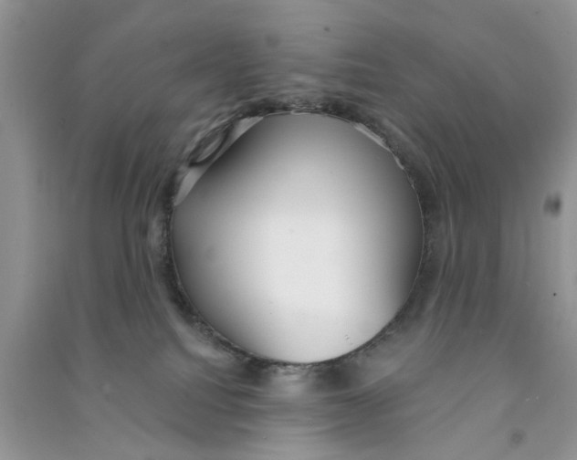 X0000090770088200708172116
