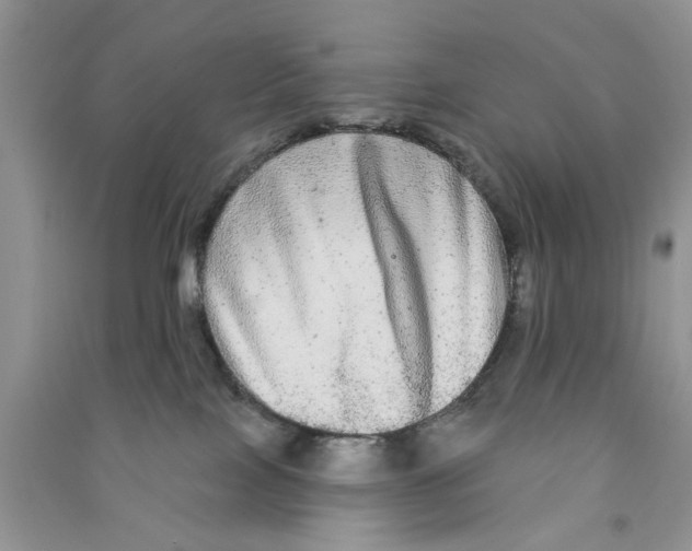 X0000090770089200708172116