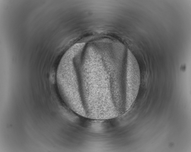 X0000090770090200708172116