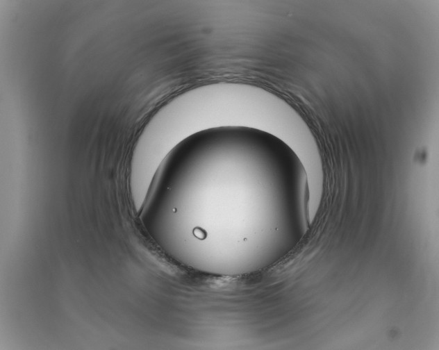 X0000090770092200708172116