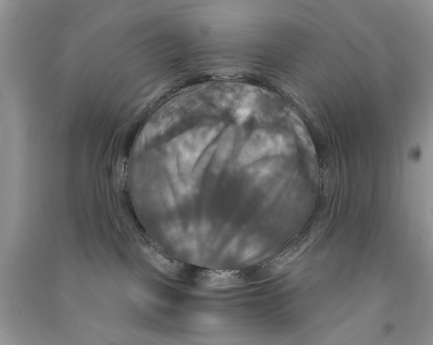 X0000090770093200708172116