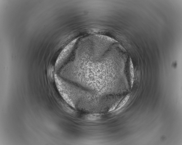 X0000090770094200708172116