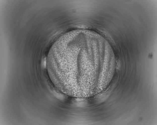 X0000090770095200708172116