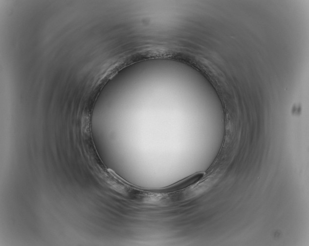 X0000090770096200708172116