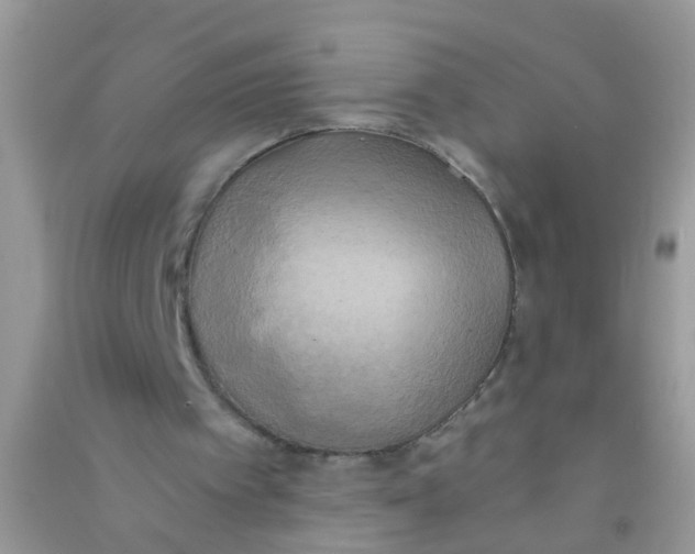 X0000090770097200708172116