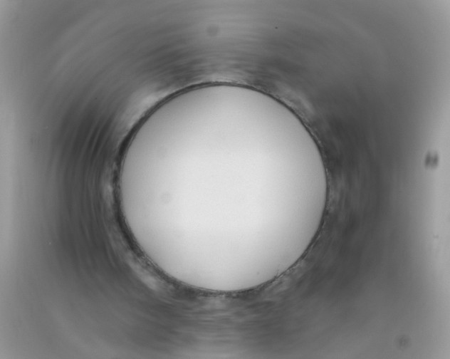 X0000090770098200708172116