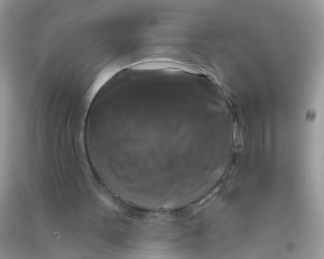 X0000090770099200708172116