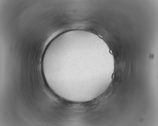 X0000090770100200708172116