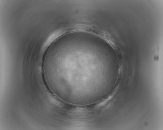 X0000090770101200708172116
