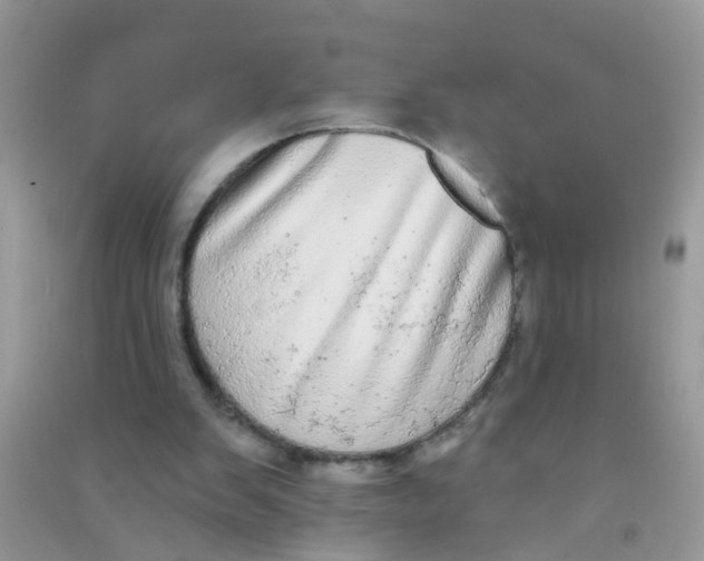 X0000090770103200708172116