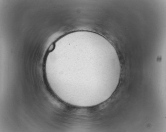 X0000090770104200708172116