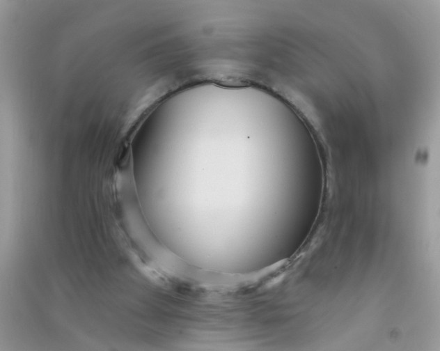X0000090770105200708172116