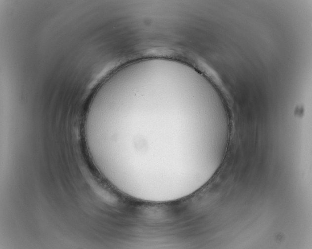 X0000090770106200708172116