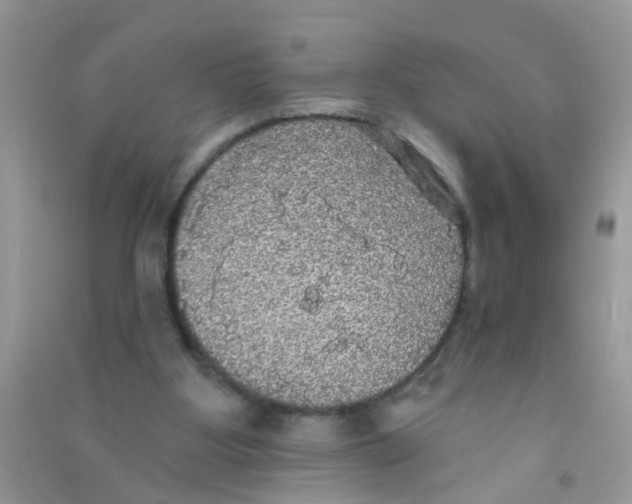 X0000090770107200708172116