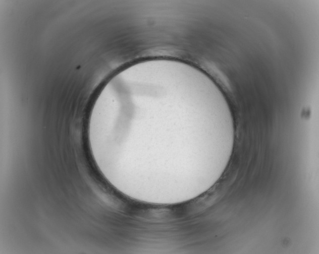X0000090770108200708172116