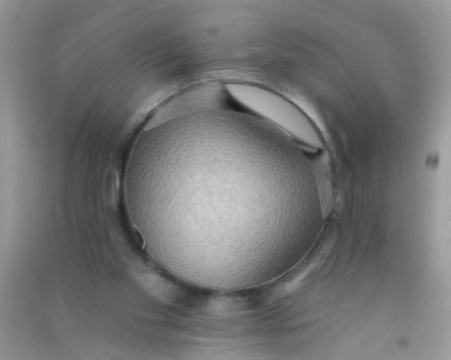 X0000090770109200708172116