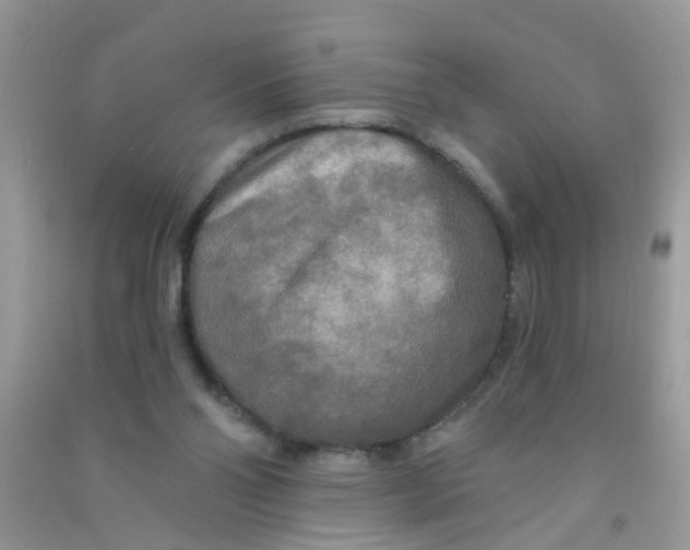 X0000090770110200708172116