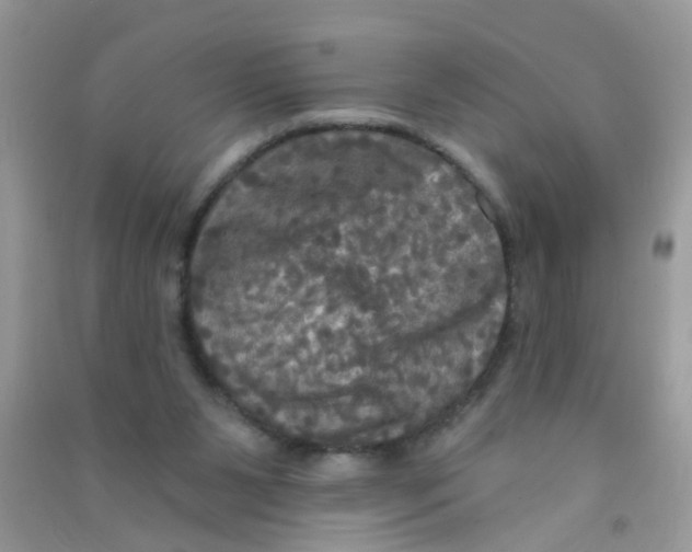 X0000090770111200708172116