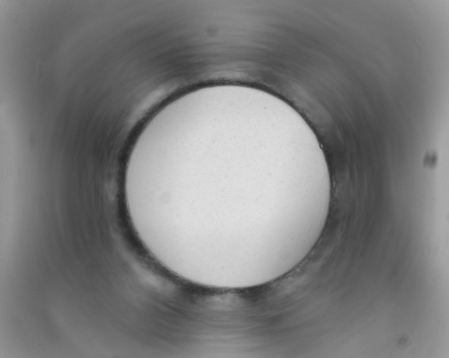 X0000090770112200708172116