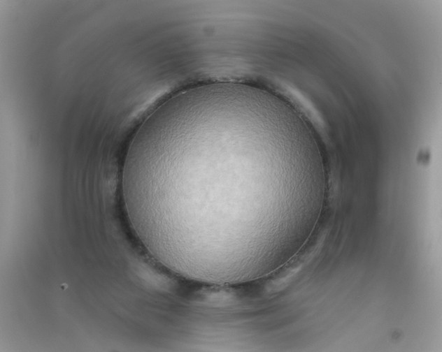 X0000090770113200708172116