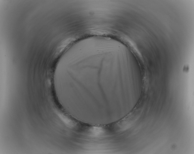 X0000090770114200708172116