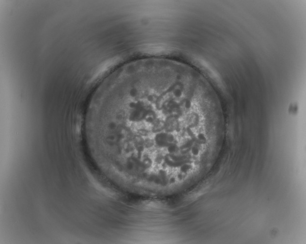 X0000090770115200708172116