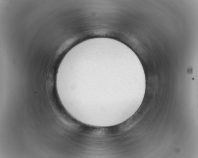 X0000090770116200708172116