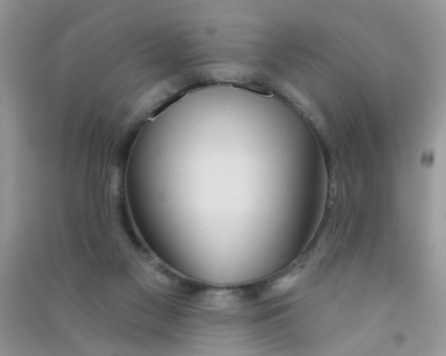 X0000090770117200708172116