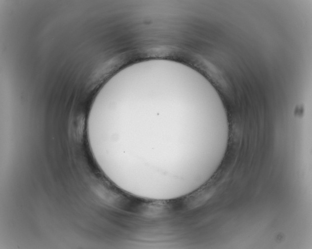 X0000090770118200708172116