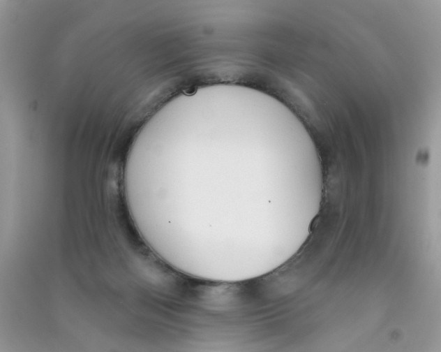 X0000090770122200708172115