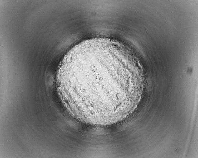 X0000090770123200708172115