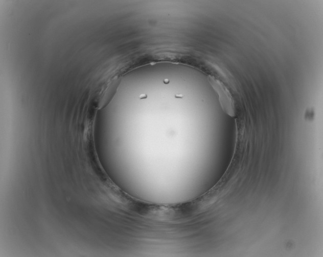 X0000090770125200708172115