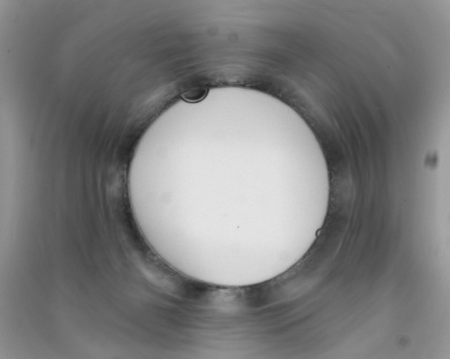 X0000090770126200708172115