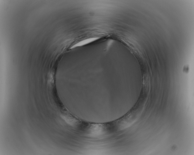 X0000090770127200708172115