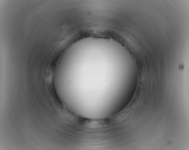 X0000090770129200708172115