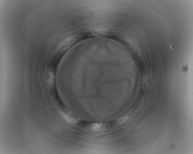 X0000090770130200708172115