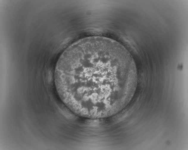 X0000090770131200708172115