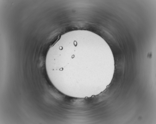 X0000090770132200708172115