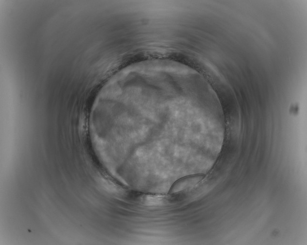 X0000090770134200708172115
