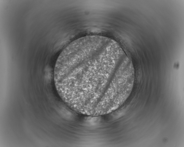 X0000090770135200708172115