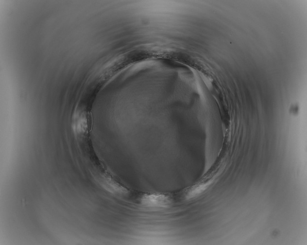 X0000090770137200708172115