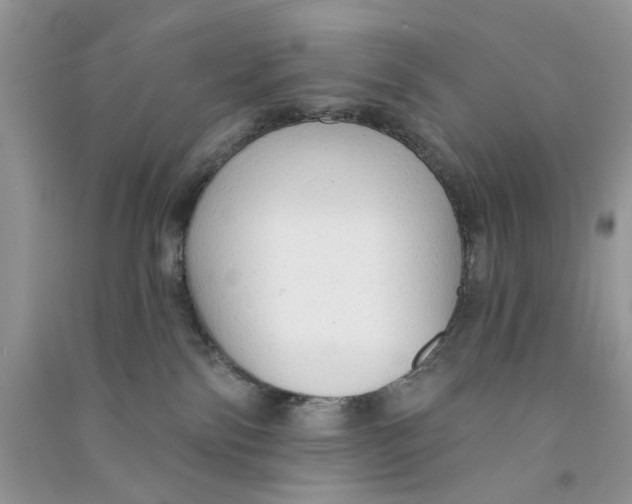 X0000090770138200708172115
