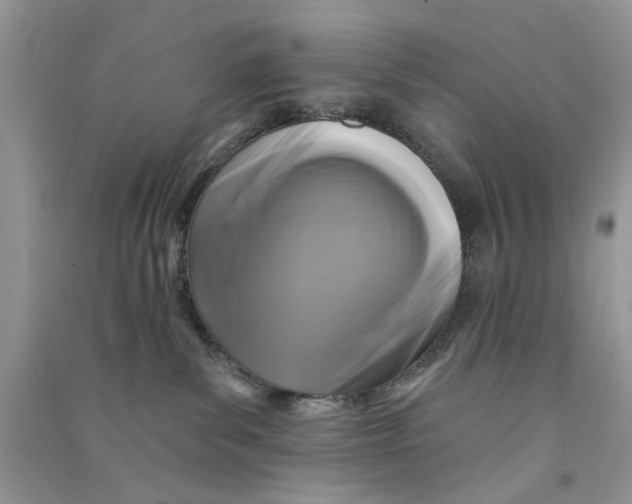 X0000090770139200708172115