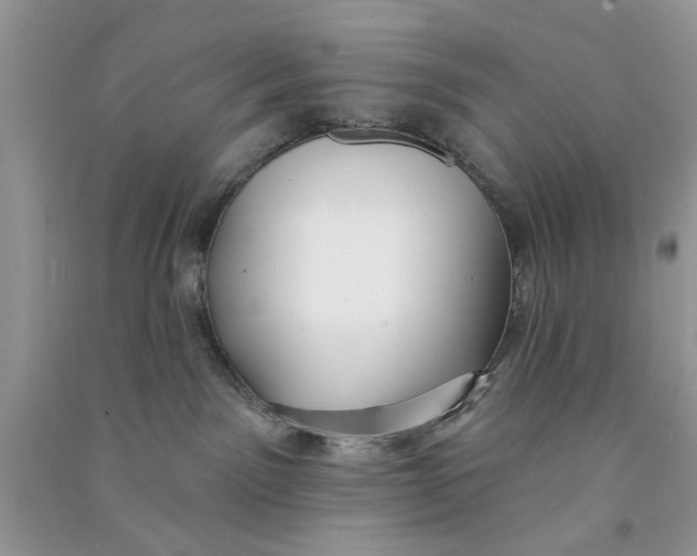 X0000090770141200708172115
