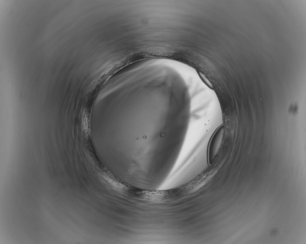 X0000090770143200708172115