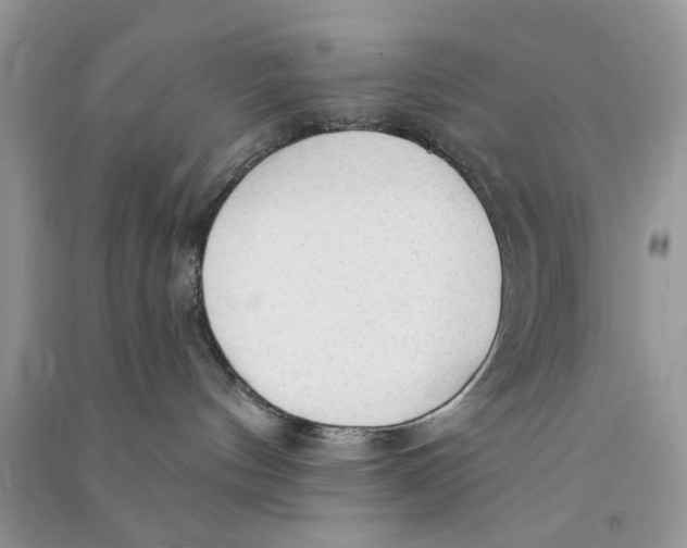 X0000090770144200708172115