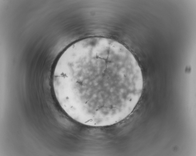 X0000090770146200708172115