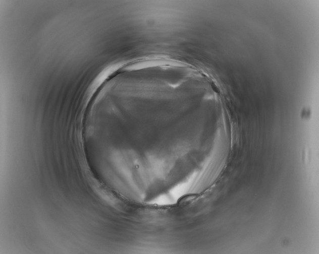 X0000090770147200708172115