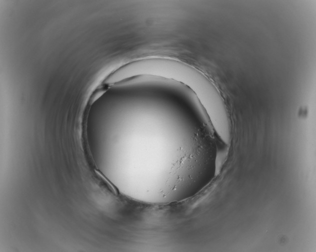 X0000090770148200708172115